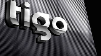 深圳比領(lǐng)設(shè)計(jì) 為Tigo金泰克科技注入品牌靈魂，打造專業(yè)電子產(chǎn)品VI與Logo設(shè)計(jì)